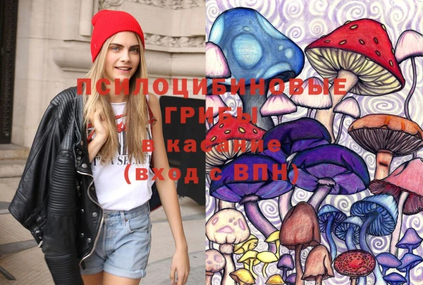 MDMA Premium VHQ Пролетарск