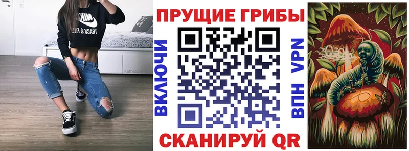Галлюциногенные грибы GOLDEN TEACHER  Светлый 